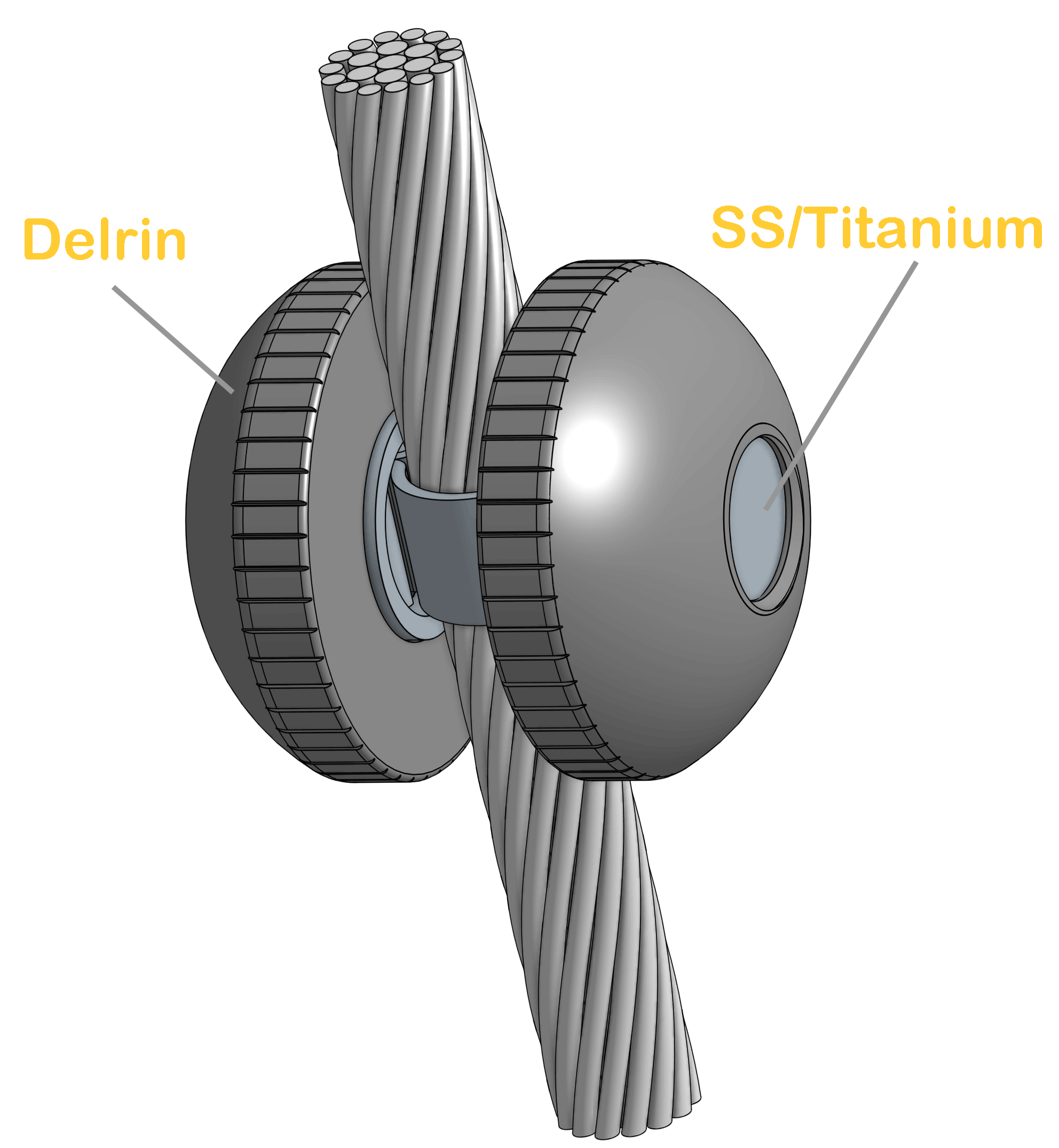 Vlaggenval knop kikker, stagkikker.